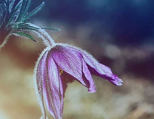 ميديكالي كلينك اسباب ضعف العلاقة عند الرجال